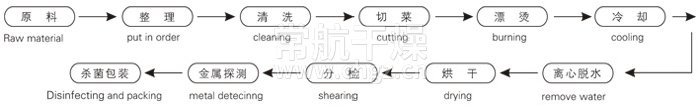 脱水蔬菜带式干燥工艺流程